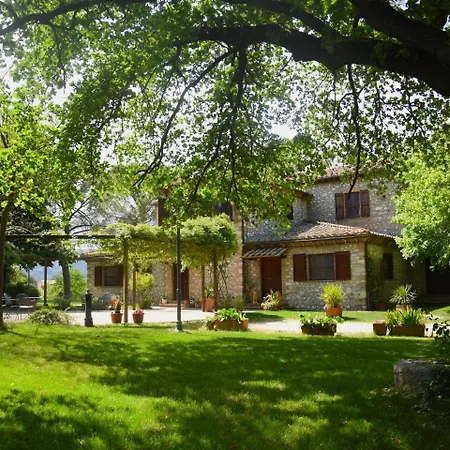 Petra Villa